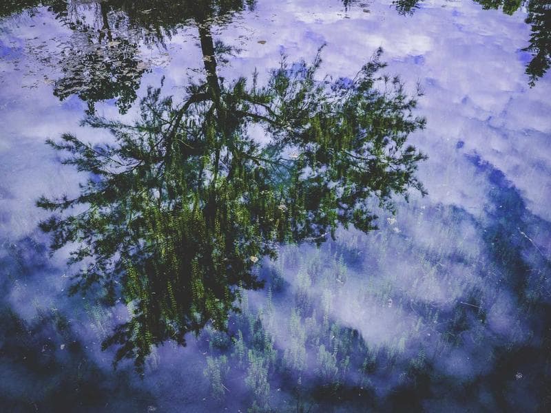 Standard A. Twill Jute Bag