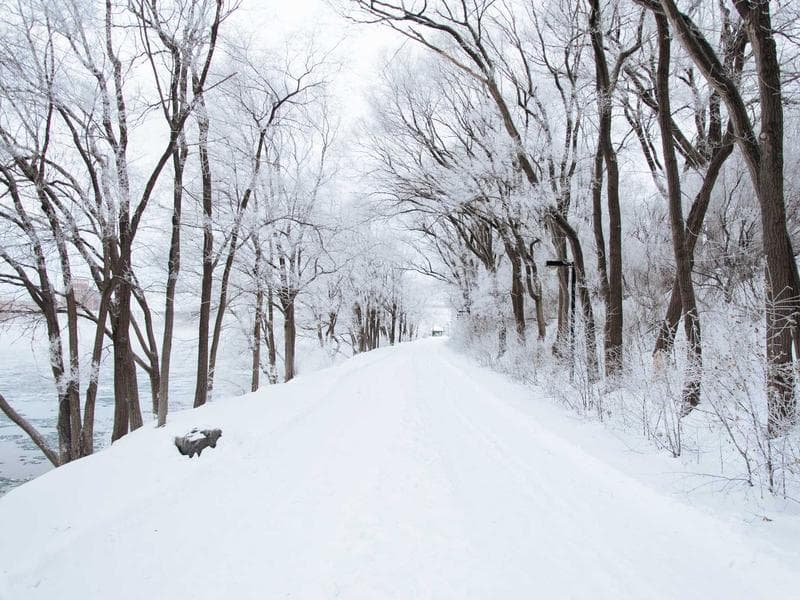 Jute Coffee Bean Bags
